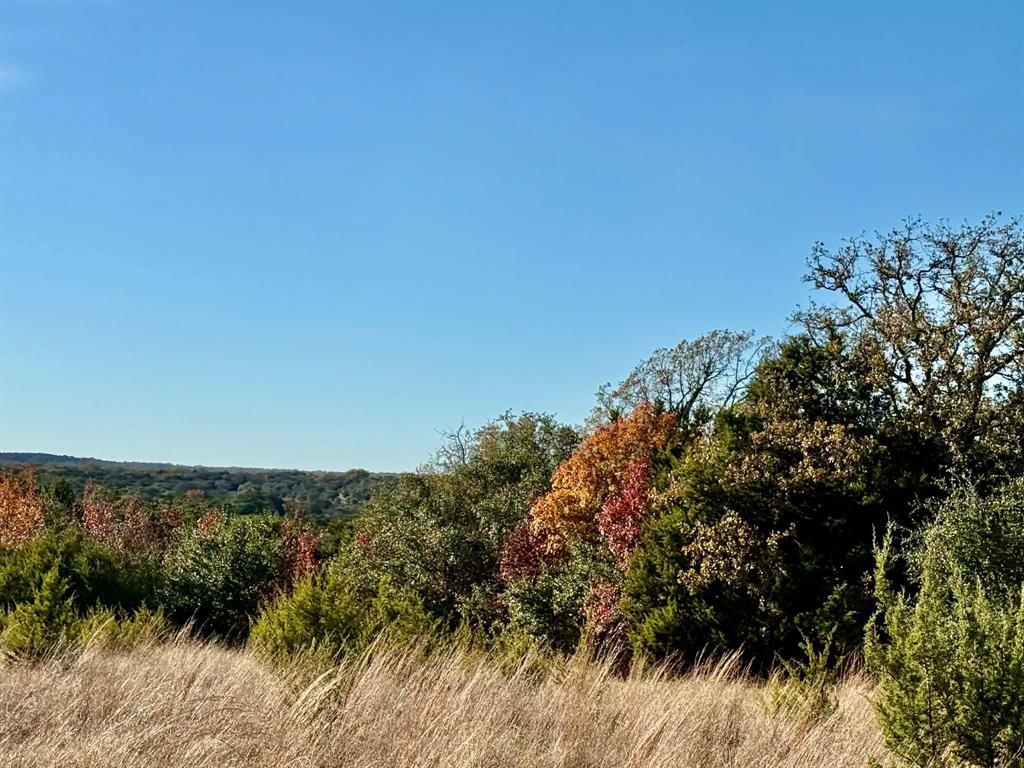 ABST A0321 GRIMES, JHN Acres:794.2500 - Land
