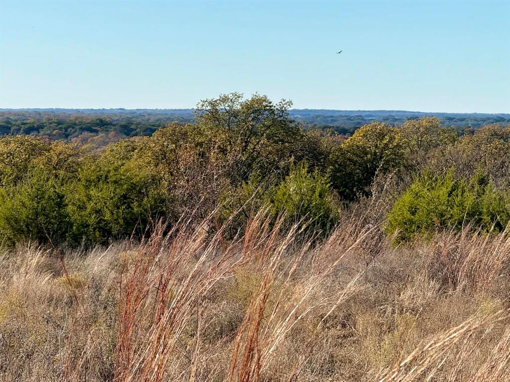 ABST A0321 GRIMES, JHN Acres:794.2500 - Land