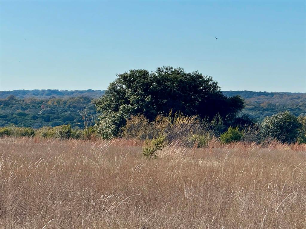 ABST A0321 GRIMES, JHN Acres:794.2500 - Land