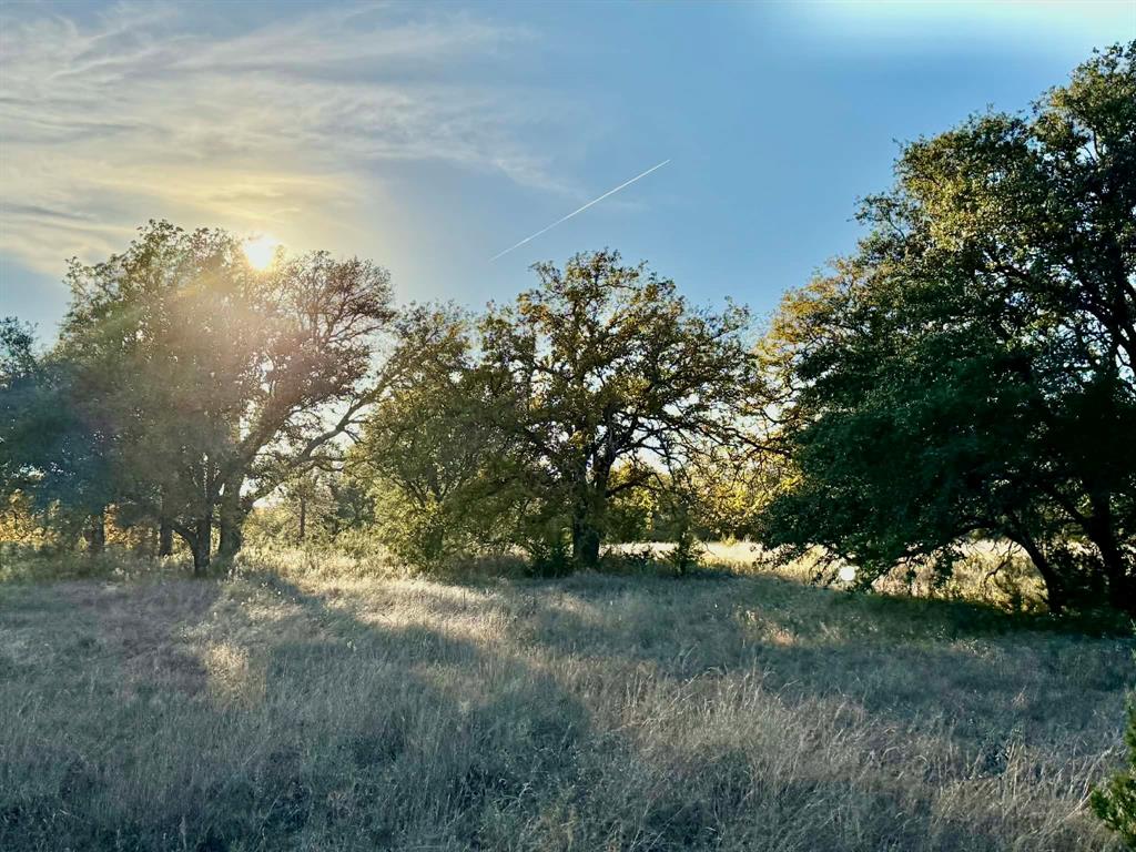 ABST A0321 GRIMES, JHN Acres:794.2500 - Land