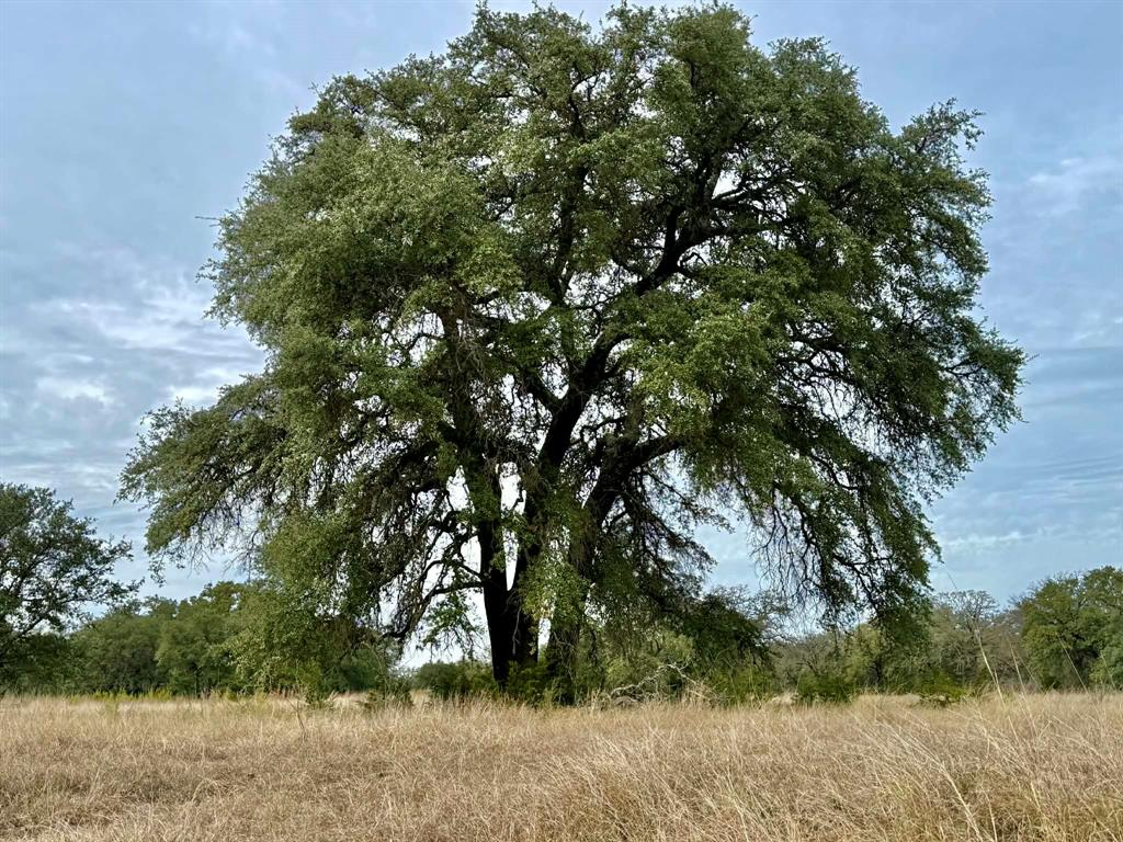 ABST A0321 GRIMES, JHN Acres:794.2500 - Land