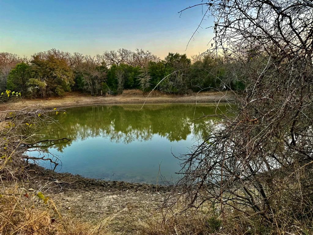 ABST A0321 GRIMES, JHN Acres:794.2500 - Land