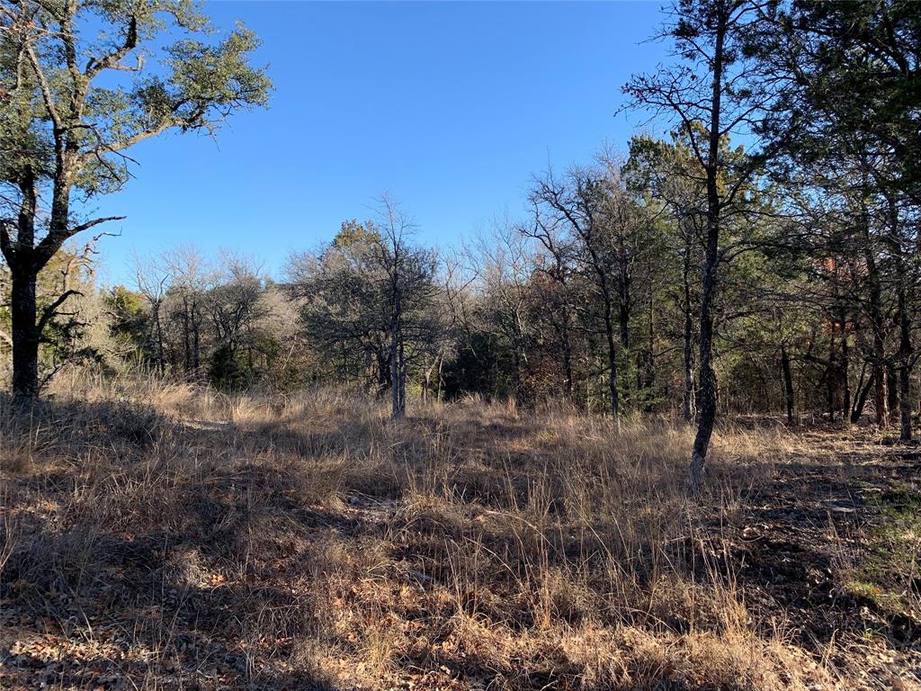 Eagles Bluff - Land