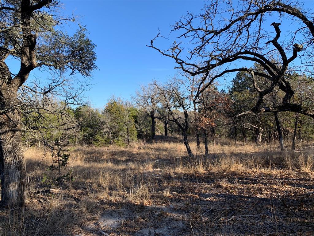 Eagles Bluff - Land