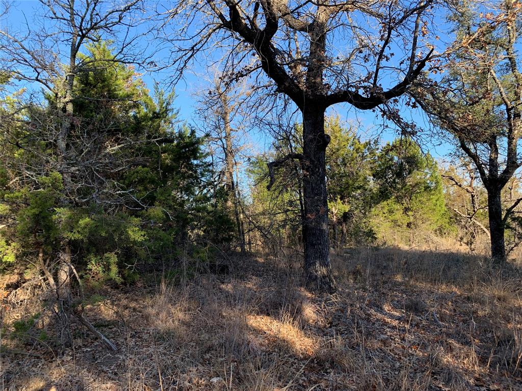 Eagles Bluff - Land