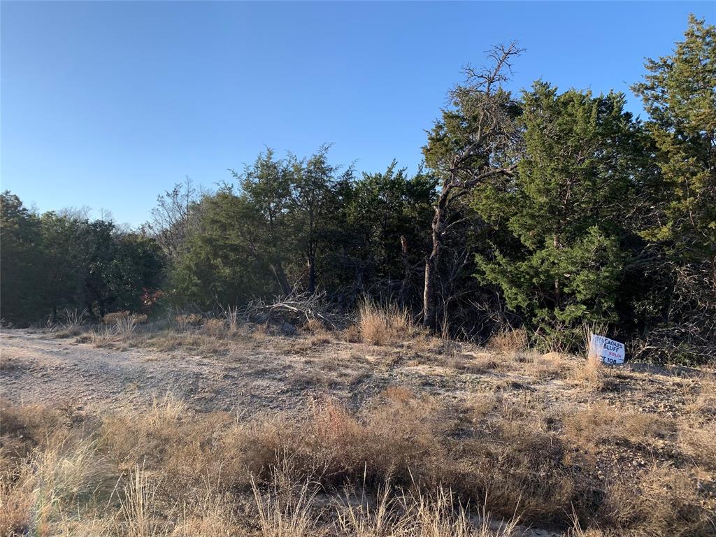 Eagles Bluff - Land