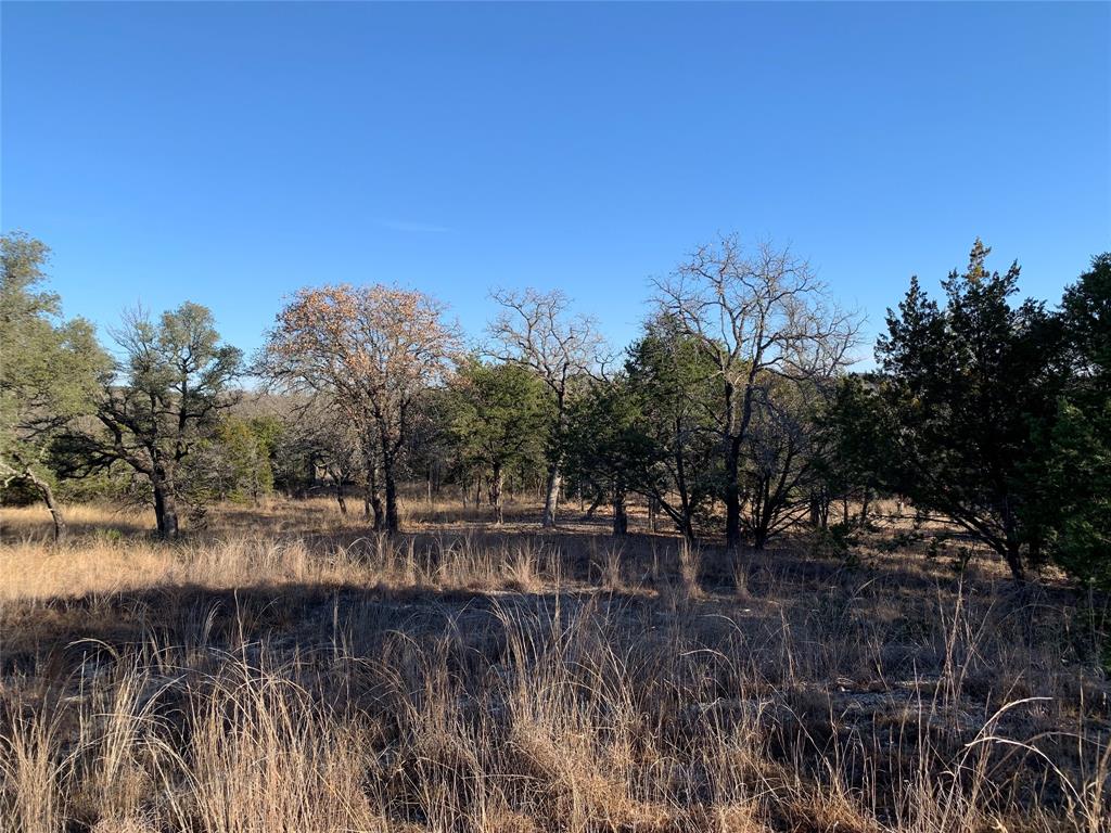 Eagles Bluff - Land