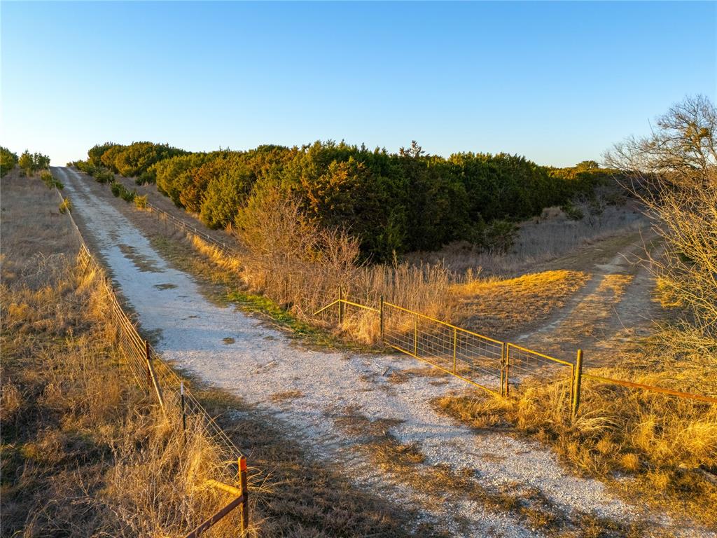Rabago M - Farm