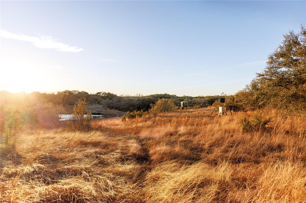 Rabago M - Farm