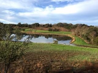 Rabago M - Farm