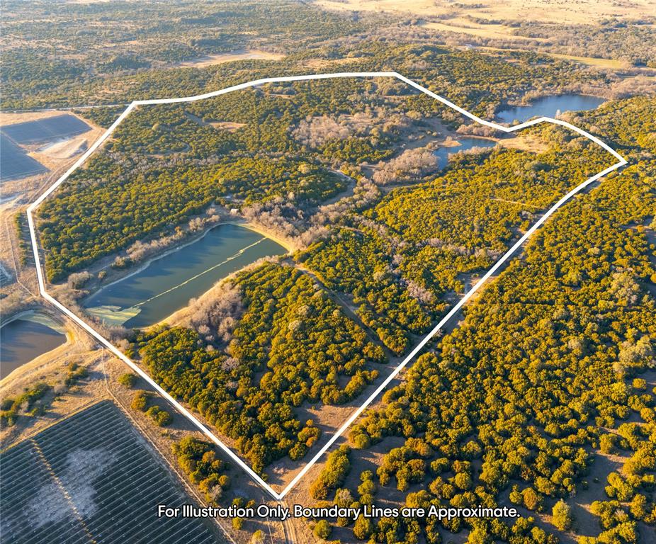 Rabago M - Farm