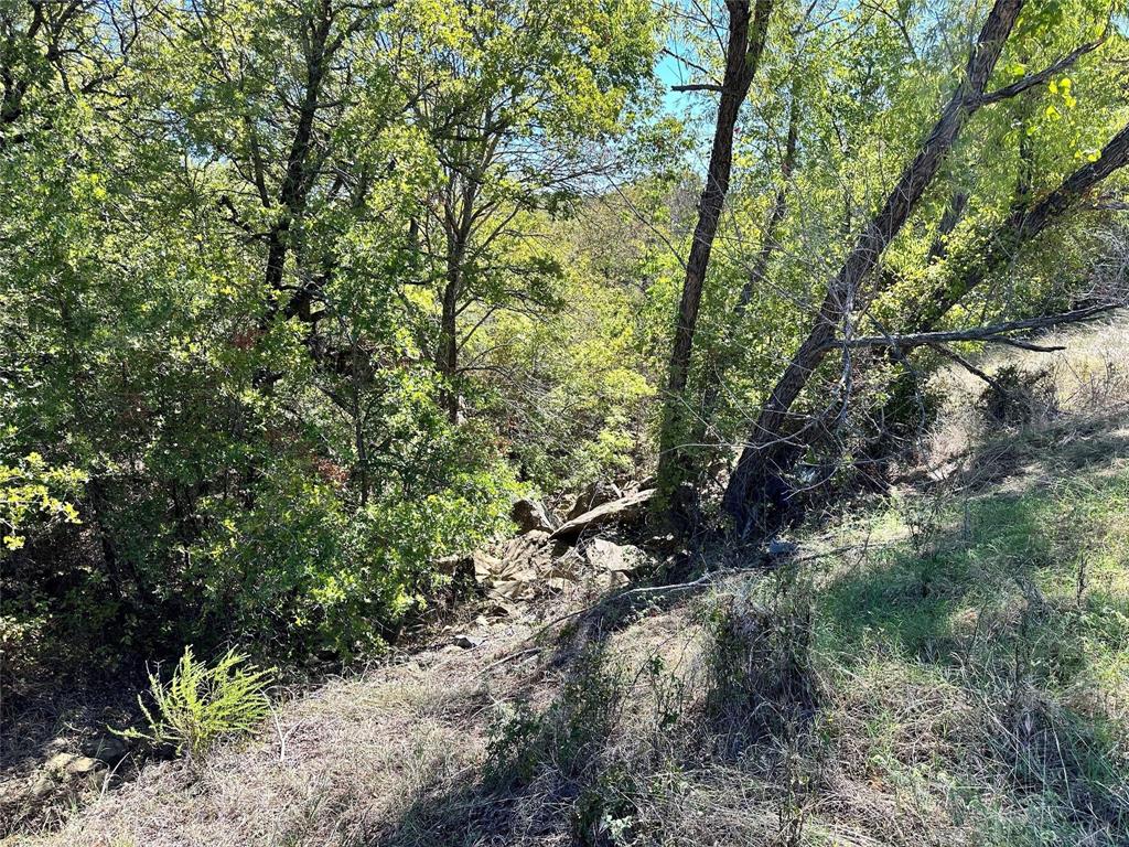 Silver Lakes Ranch - Land