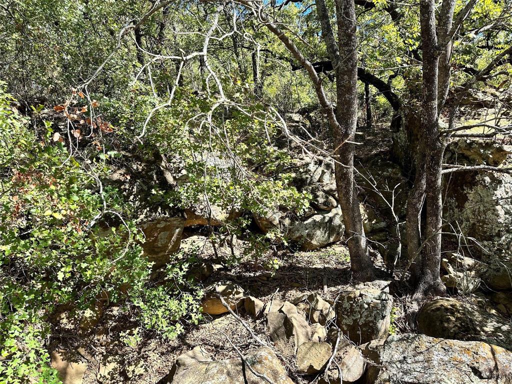 Silver Lakes Ranch - Land