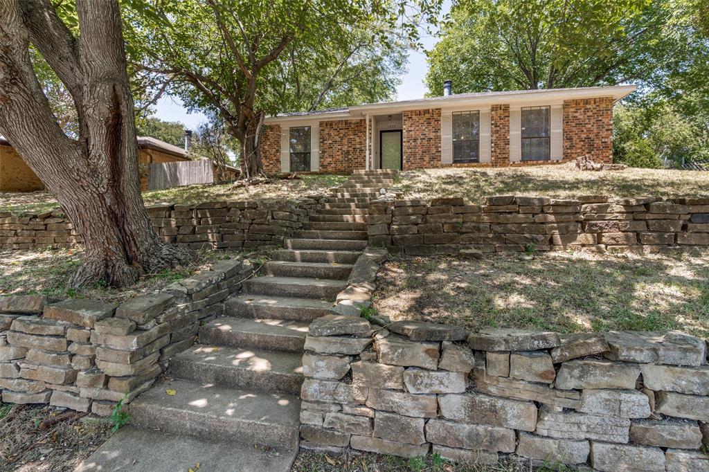 Lime Tree - Residential