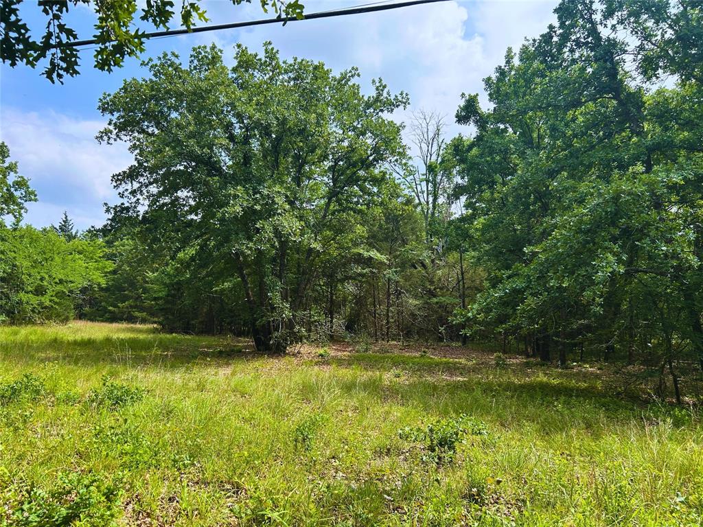 LOT 2 of Emerald Oaks 1.89+- acres of heavily treed land waiting for you to build your dream barndo or manufactured home. Enjoy the peace and privacy of country living with the convenience of being just minutes from Lake Tawakoni, offering year-round boating, fishing, and outdoor recreation. and enjoy nature. Utilities at the road. Plat & deed restrictions loaded in transaction desk. Priced to sell. Make an offer seller is motivated.