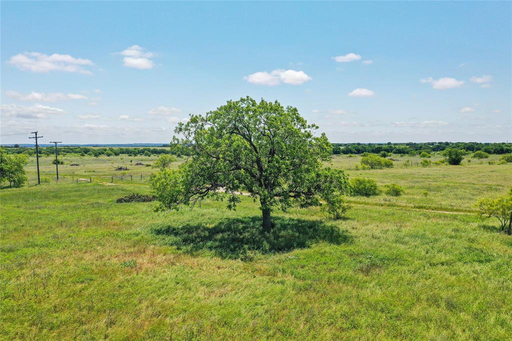 Pasture Holdings - Land