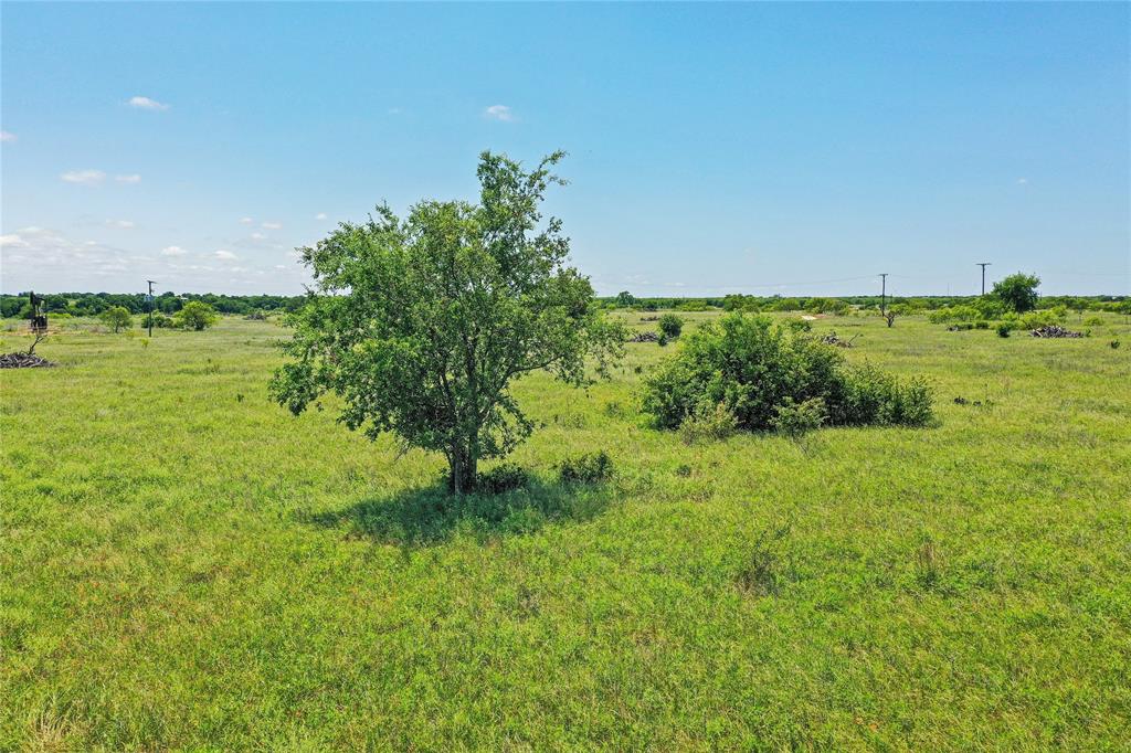 Pasture Holdings - Land