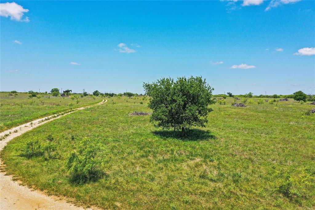 Pasture Holdings - Land