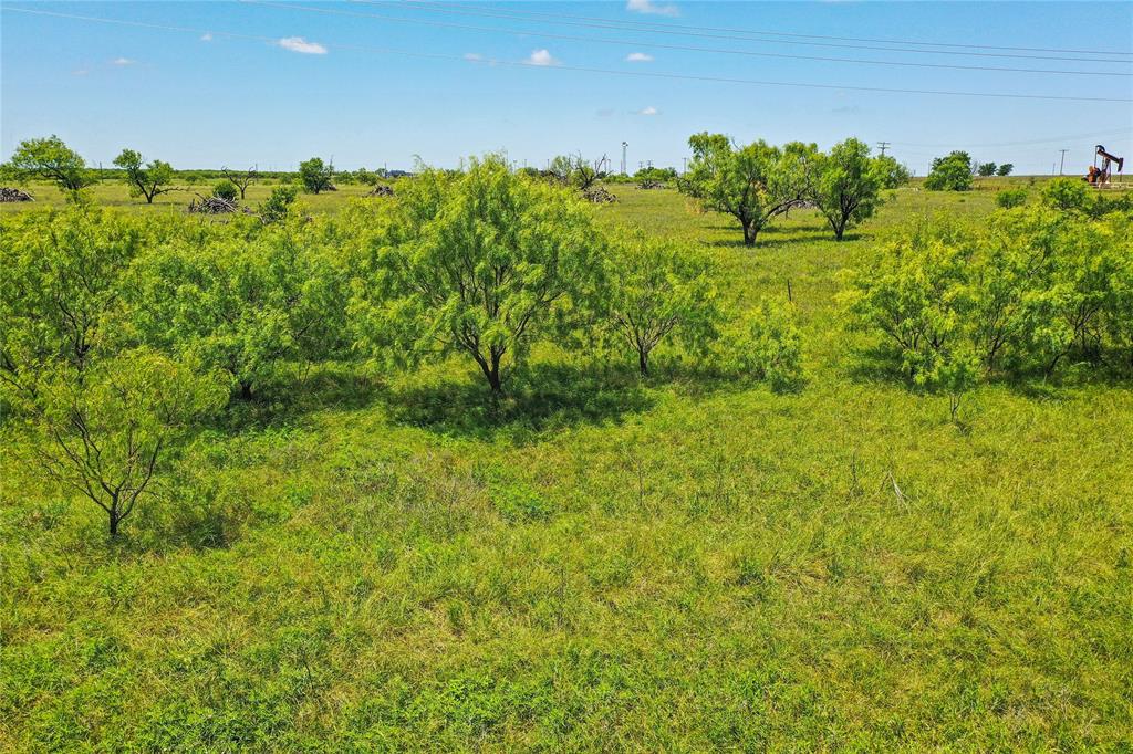 Pasture Holdings - Land