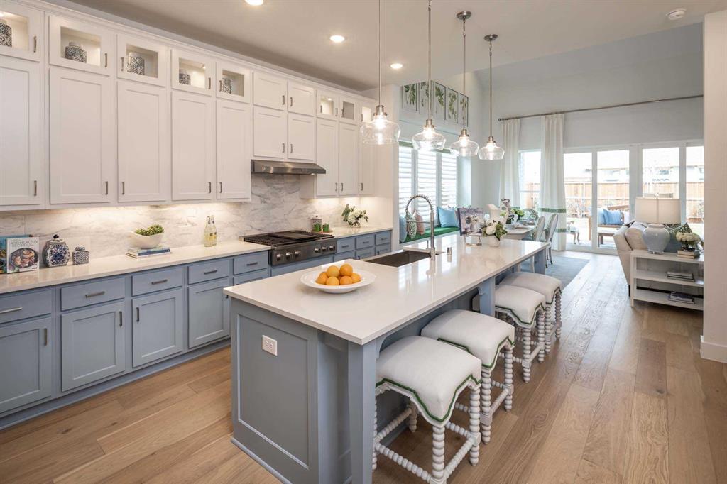 Pecan Square: 50ft. lots - Residential