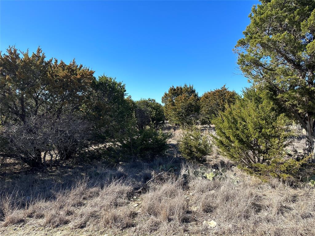 Lot is mostly flat and level with lots of trees and natural cover. Ownership permits the use of the Cliffs Golf Course and access to all of the Cliffs Amenities. These include; boat launch, marina service, two seperate swimming pools, beach area, and discount at the Chaparral Restaurant.