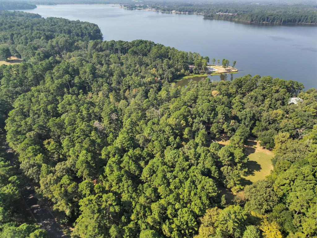 East Side Lake Tyler - Land