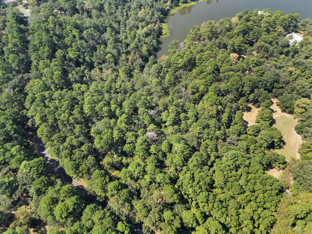 East Side Lake Tyler - Land