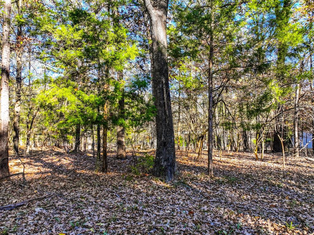 Tall Tree East - Land