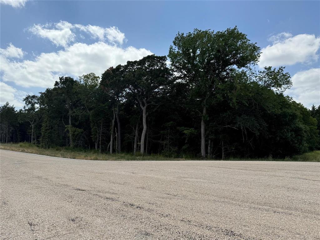 Cedar Springs Estates - Land