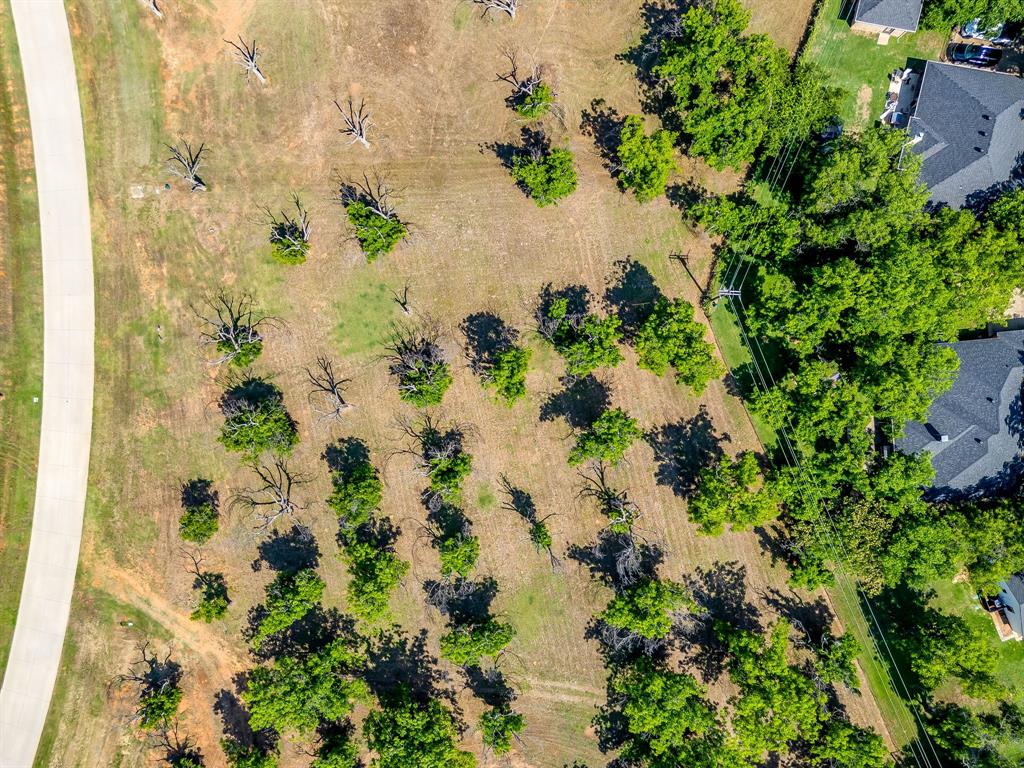 Pecan Plantation - Land