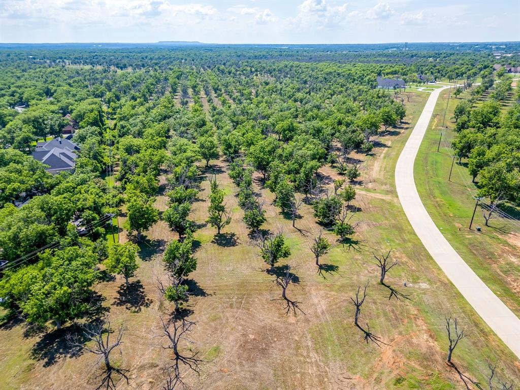 Pecan Plantation - Land
