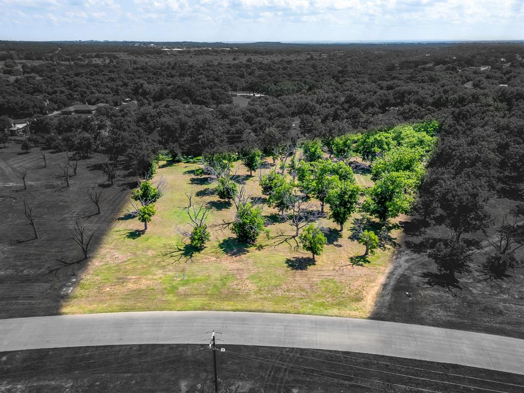 Pecan Plantation - Land