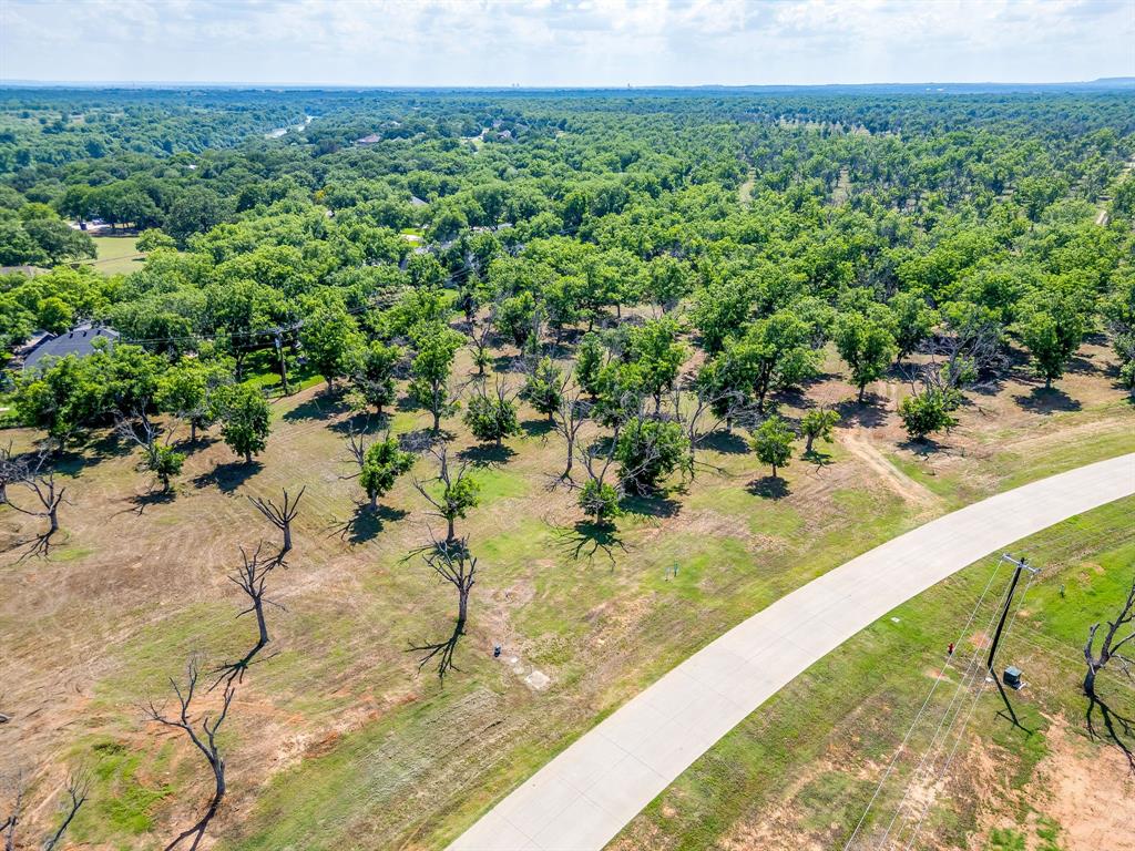 Pecan Plantation - Land
