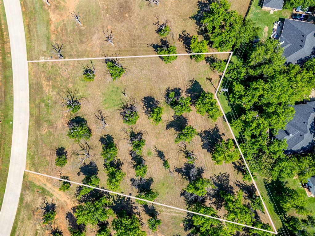 Pecan Plantation - Land