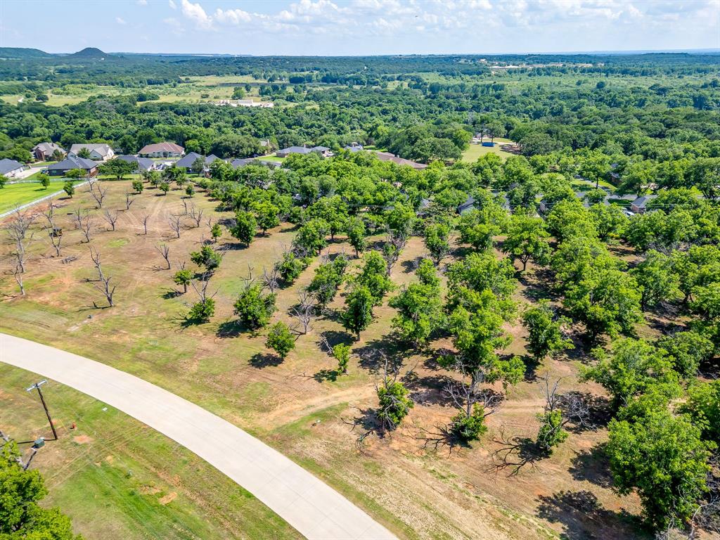 Pecan Plantation - Land
