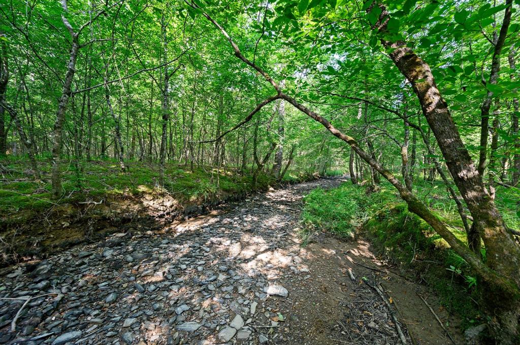 CABINS OF NORTH CARTER CREEK - Land