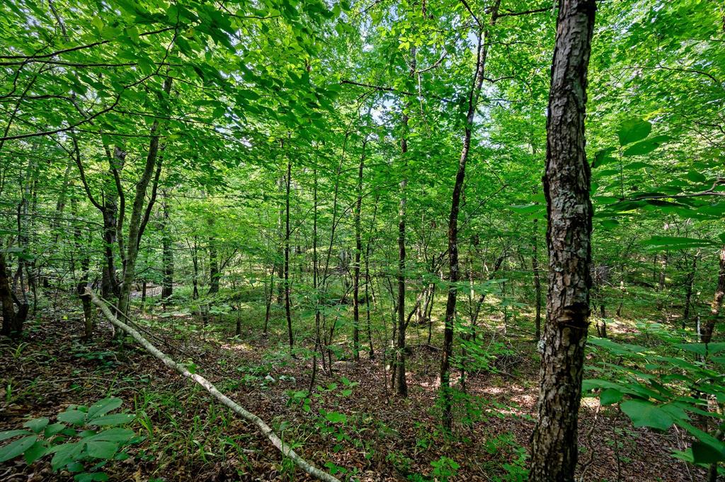 CABINS OF NORTH CARTER CREEK - Land