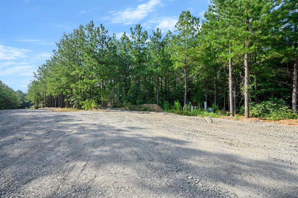 CABINS OF NORTH CARTER CREEK - Land