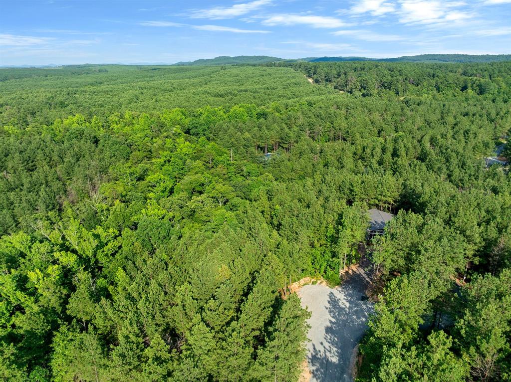 CABINS OF NORTH CARTER CREEK - Land