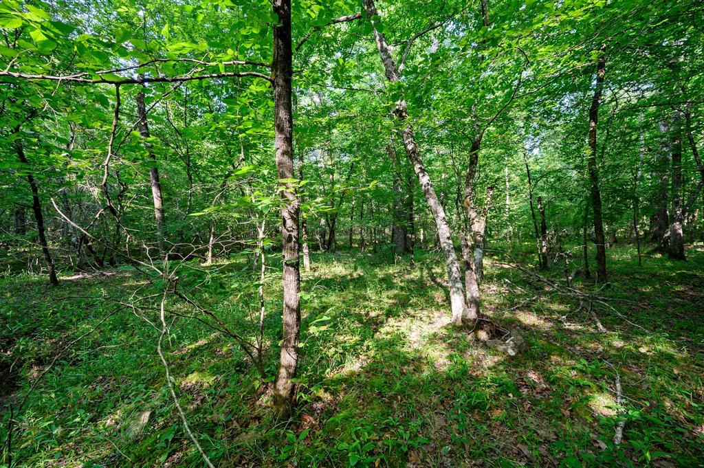 CABINS OF NORTH CARTER CREEK - Land