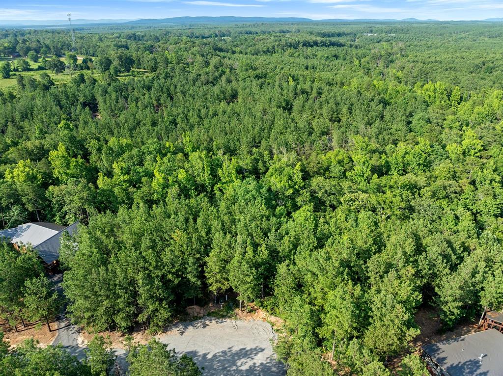 CABINS OF NORTH CARTER CREEK - Land