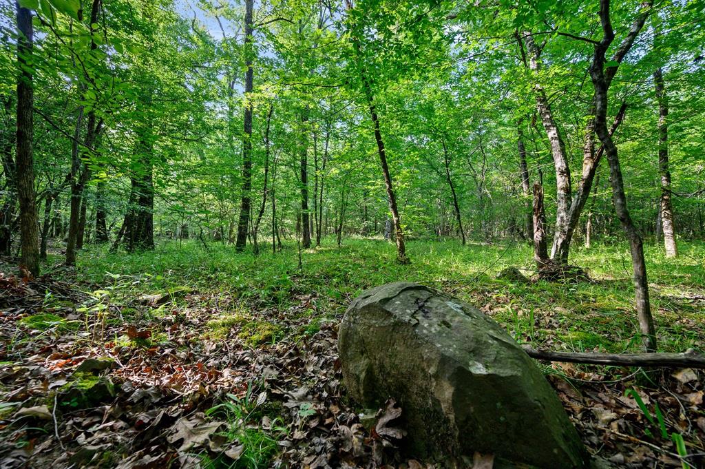 CABINS OF NORTH CARTER CREEK - Land