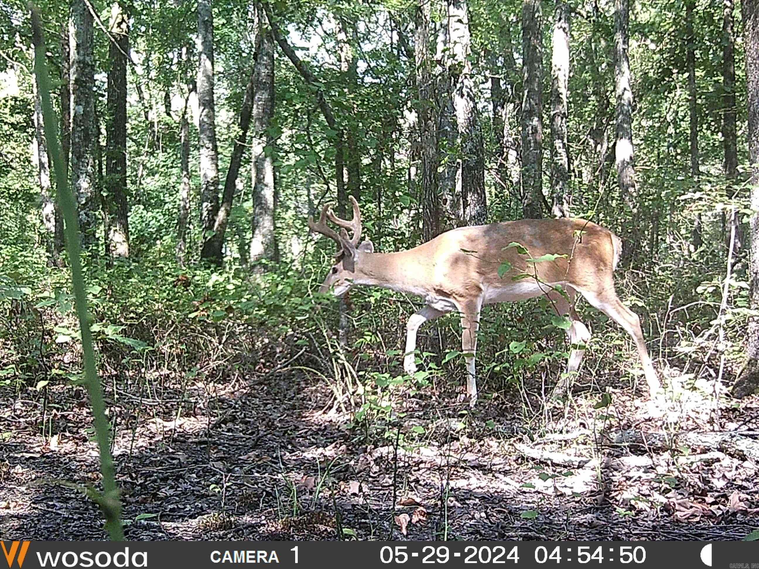 10-15-01 - Land