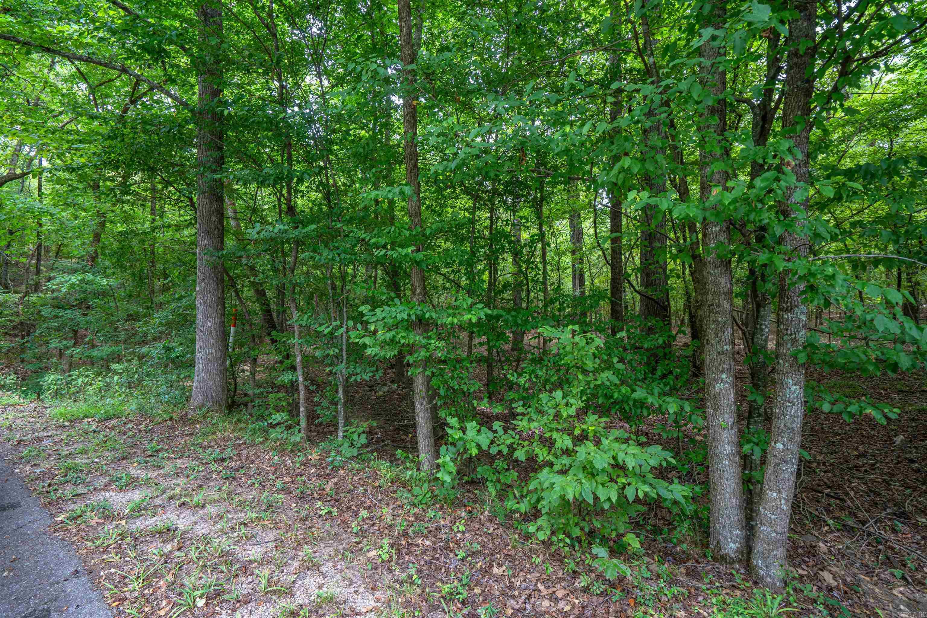 River Oaks - Land