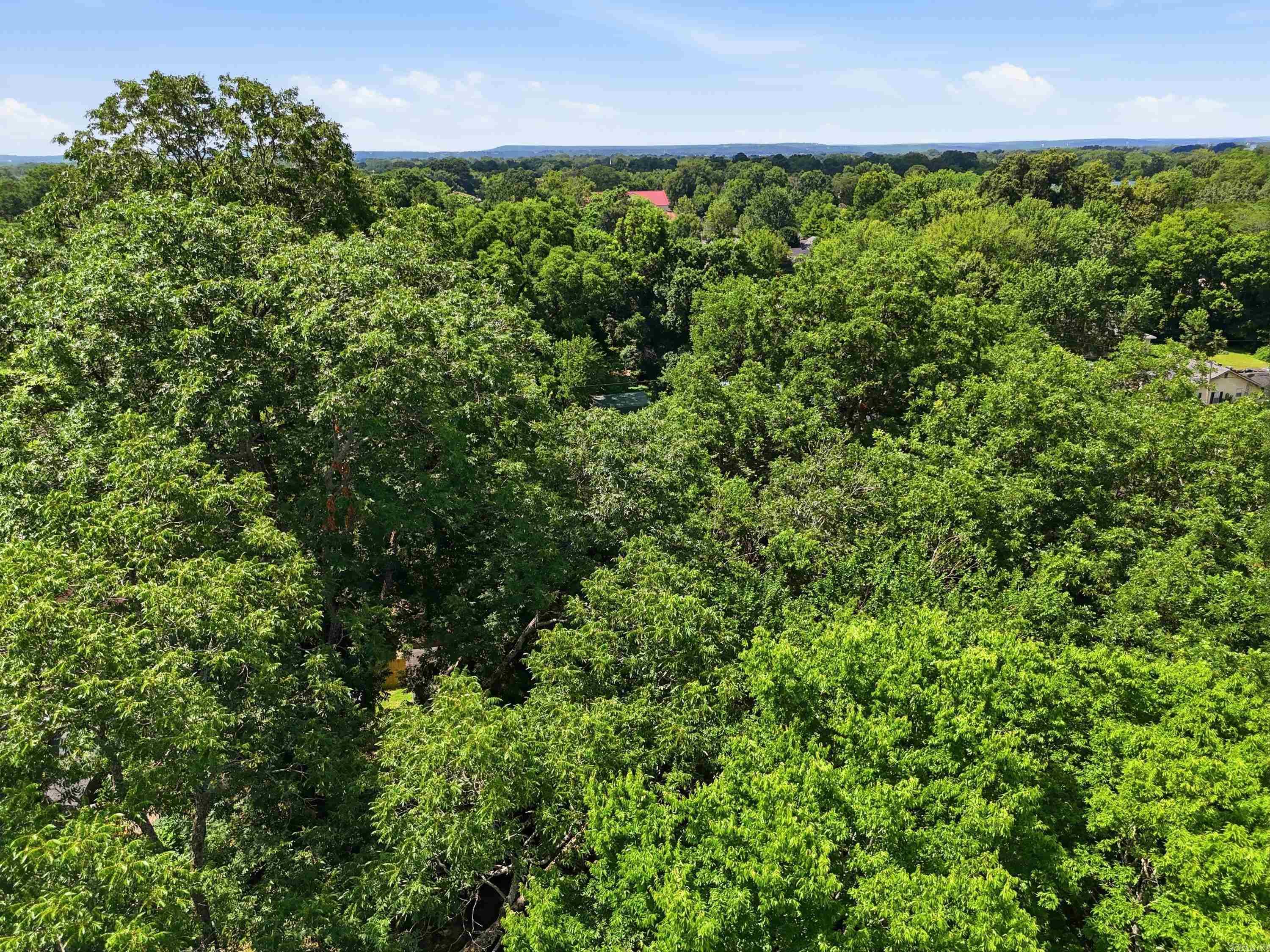 GREENE'S SUBDIVISION OF FIDDLE - Residential
