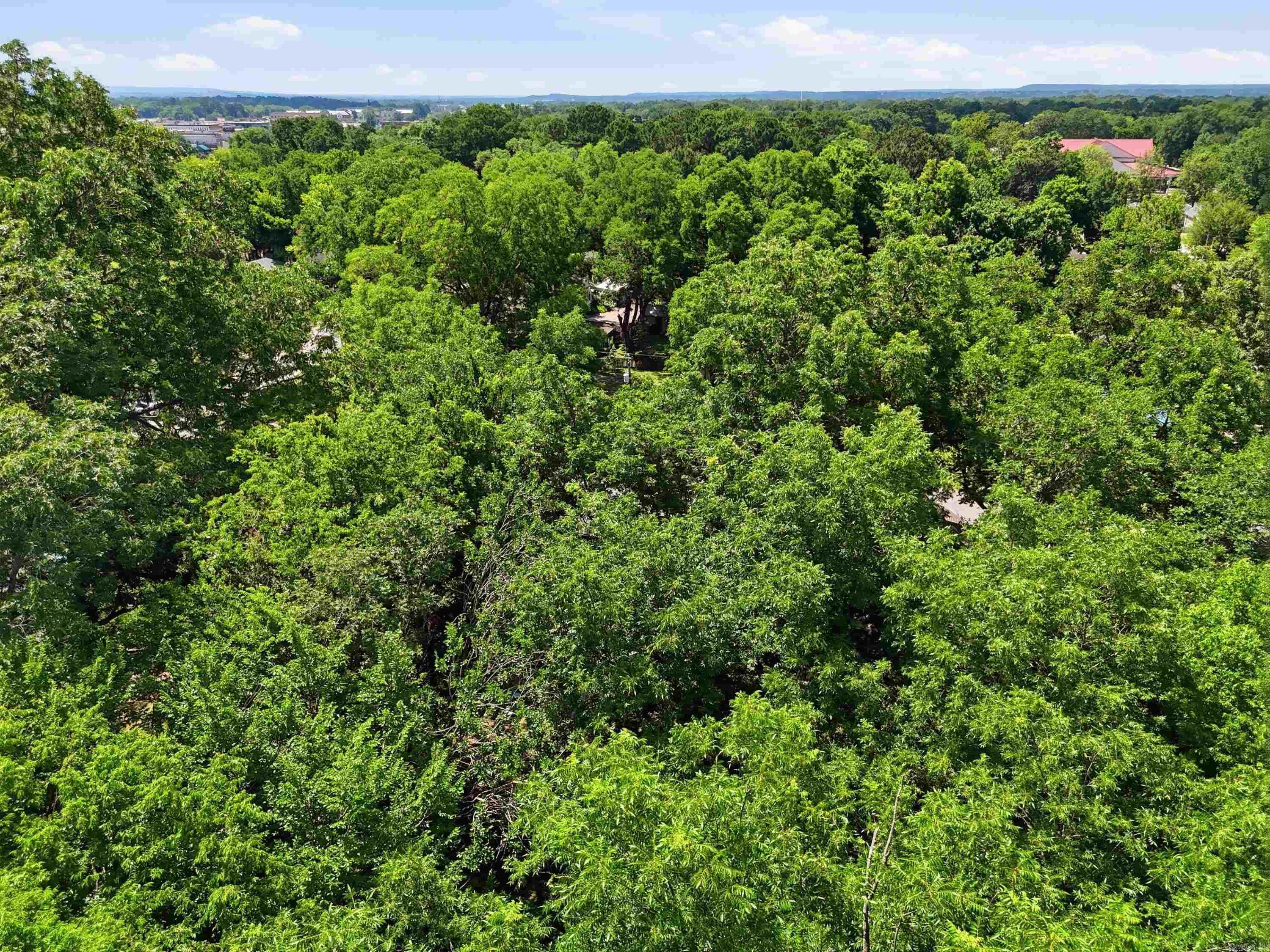 GREENE'S SUBDIVISION OF FIDDLE - Residential