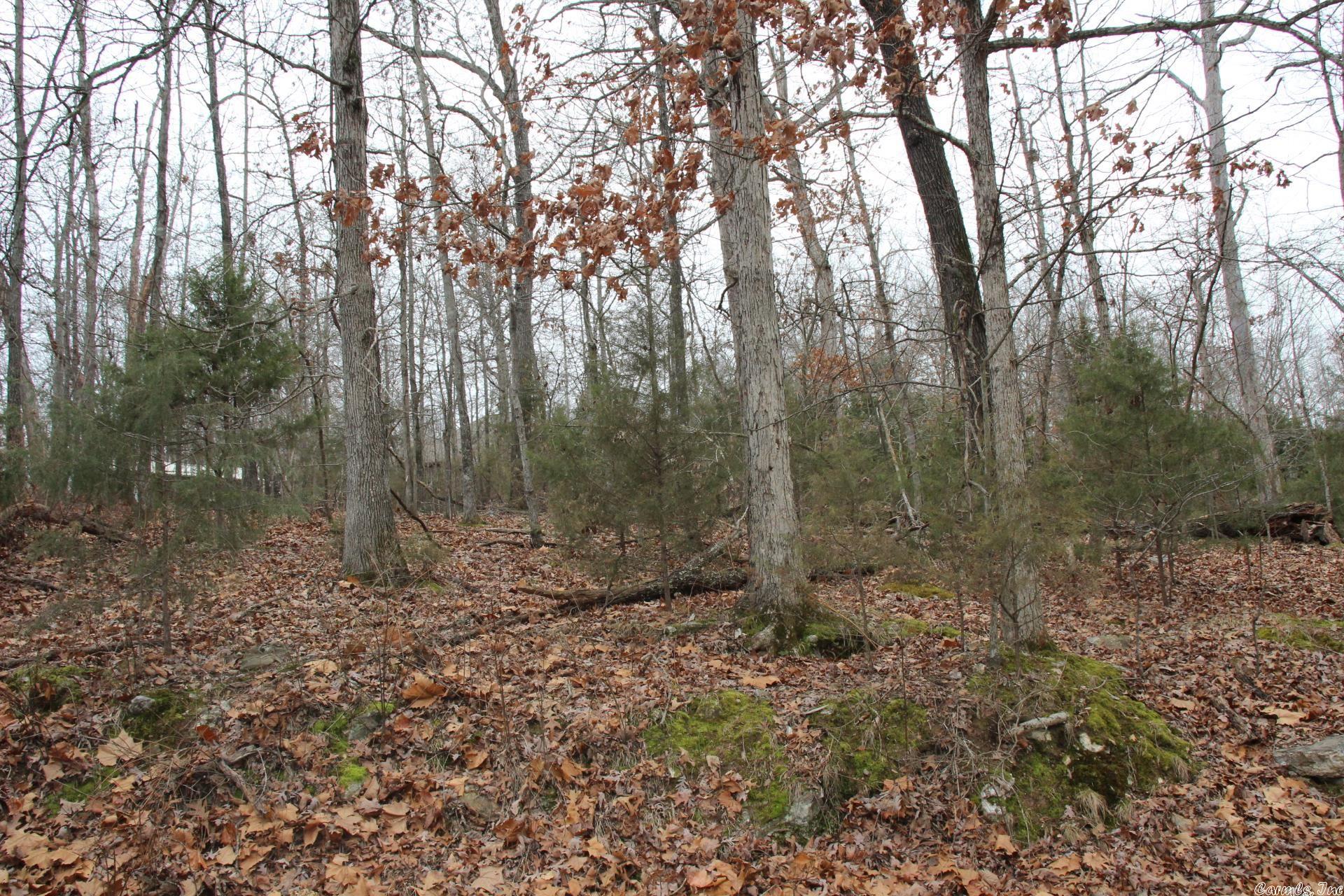 Woodstone - Land