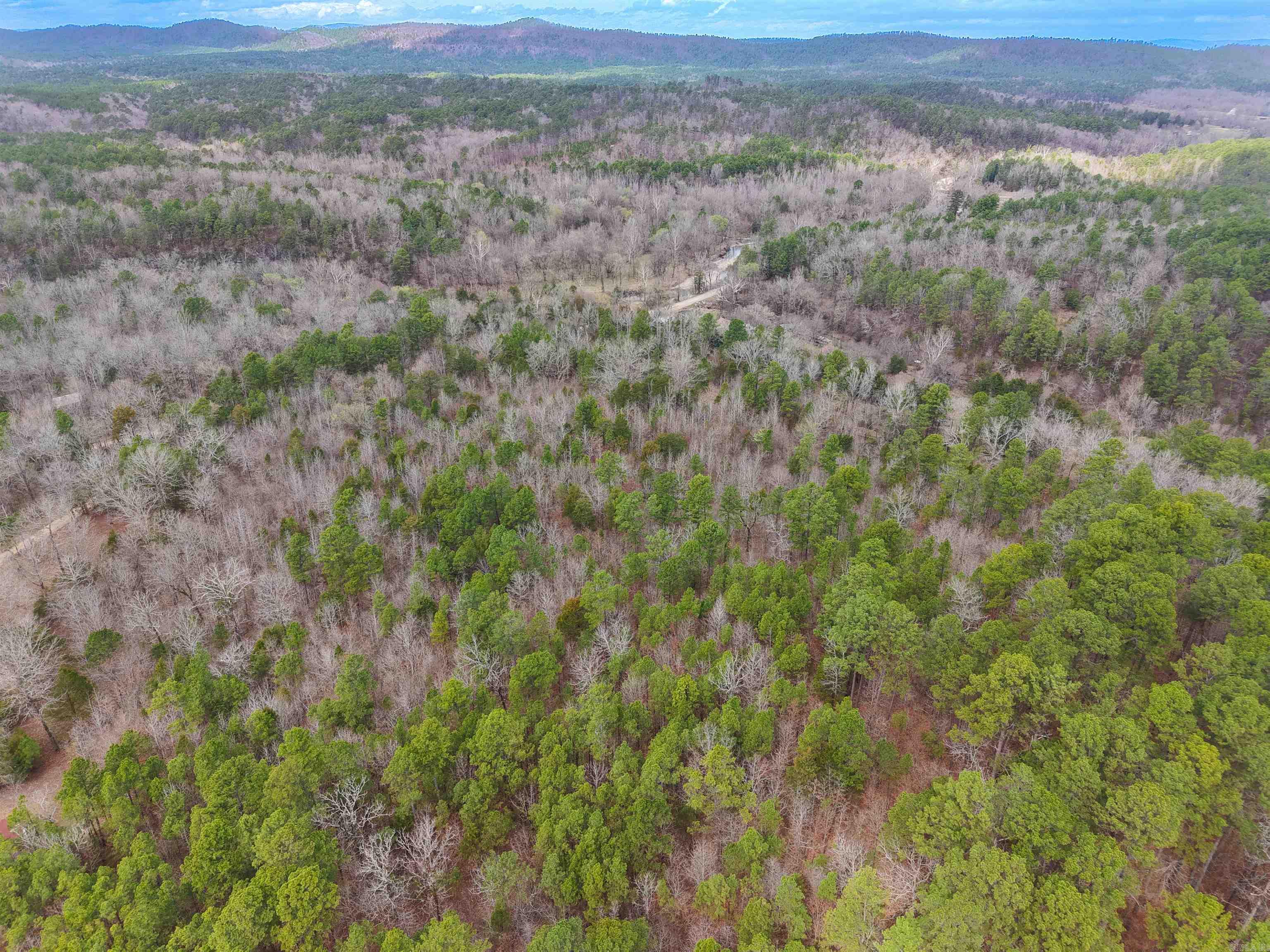 10± wooded acres in Montgomery County offering privacy and direct access to nature. The property borders the Ouachita National Forest on the east side, providing additional space to explore, hunt, and enjoy the outdoors. Located just a short distance from the South Fork of the Ouachita River, this tract is well suited for hunting, recreation, or a secluded getaway. The land is wooded and private, giving you the opportunity to shape it into whatever fits your needs. No utilities are currently on the property. Survey pending. Mineral rights convey.