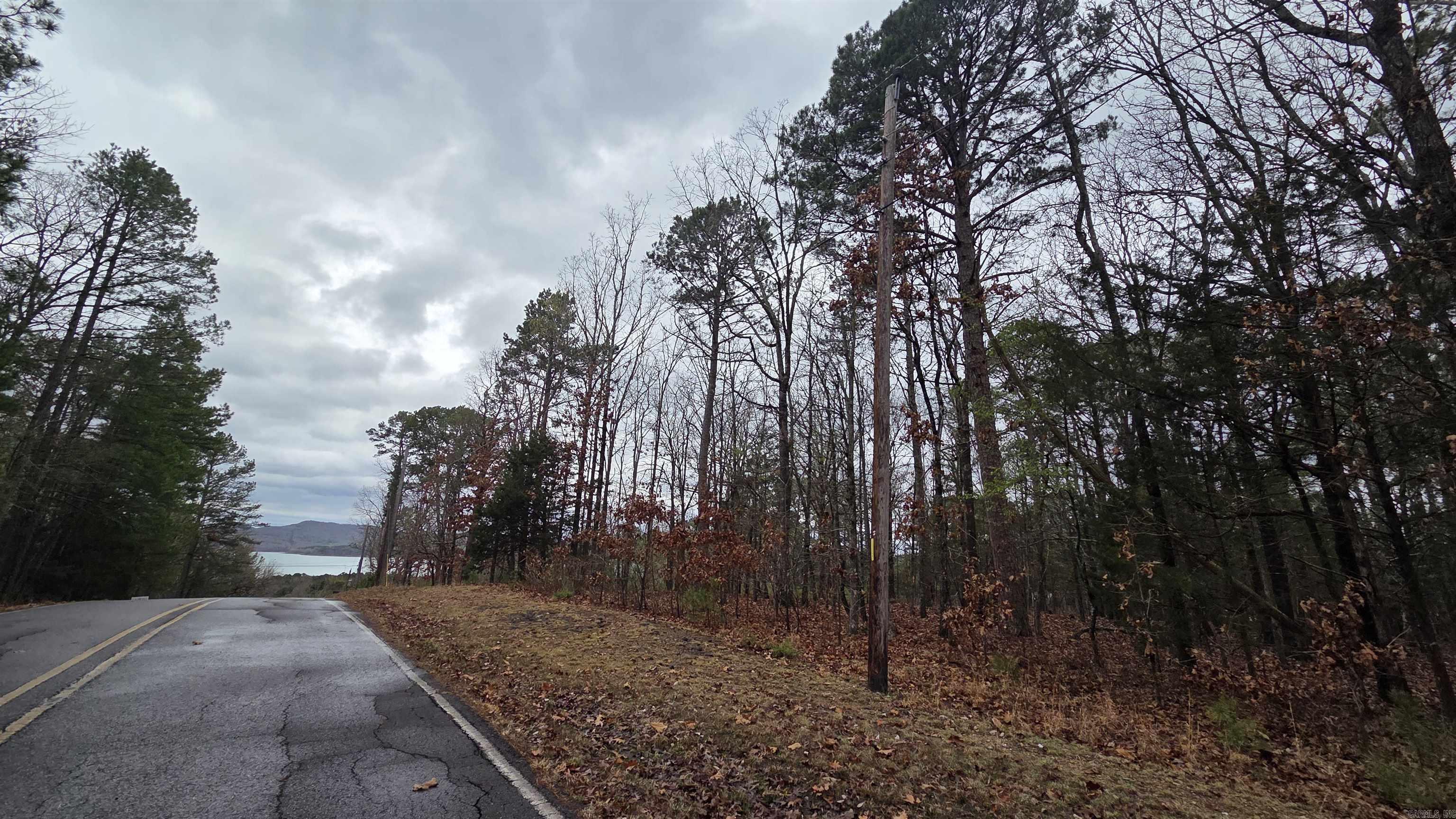 Come and see the serene beauty of Fairfield Bay with this residential lot nestled on a hill with a potential view of Greers Ferry Lake!  This wooded lot presents the perfect opportunity to build your dream home or peaceful getaway in the heart of nature. Embrace the tranquility and privacy offered by surrounding trees allowing you to create a secluded piece of heaven. Enjoy the convenience of being just a short distant from Greers Ferry Lake, you'll have access to endless water-based activities such as boating, fishing, swimming, Join the resort at Fairfield Bay also offers 3 communities pools, mini golf, bowling, hundred miles of ATV & hiking/biking trails and so much more