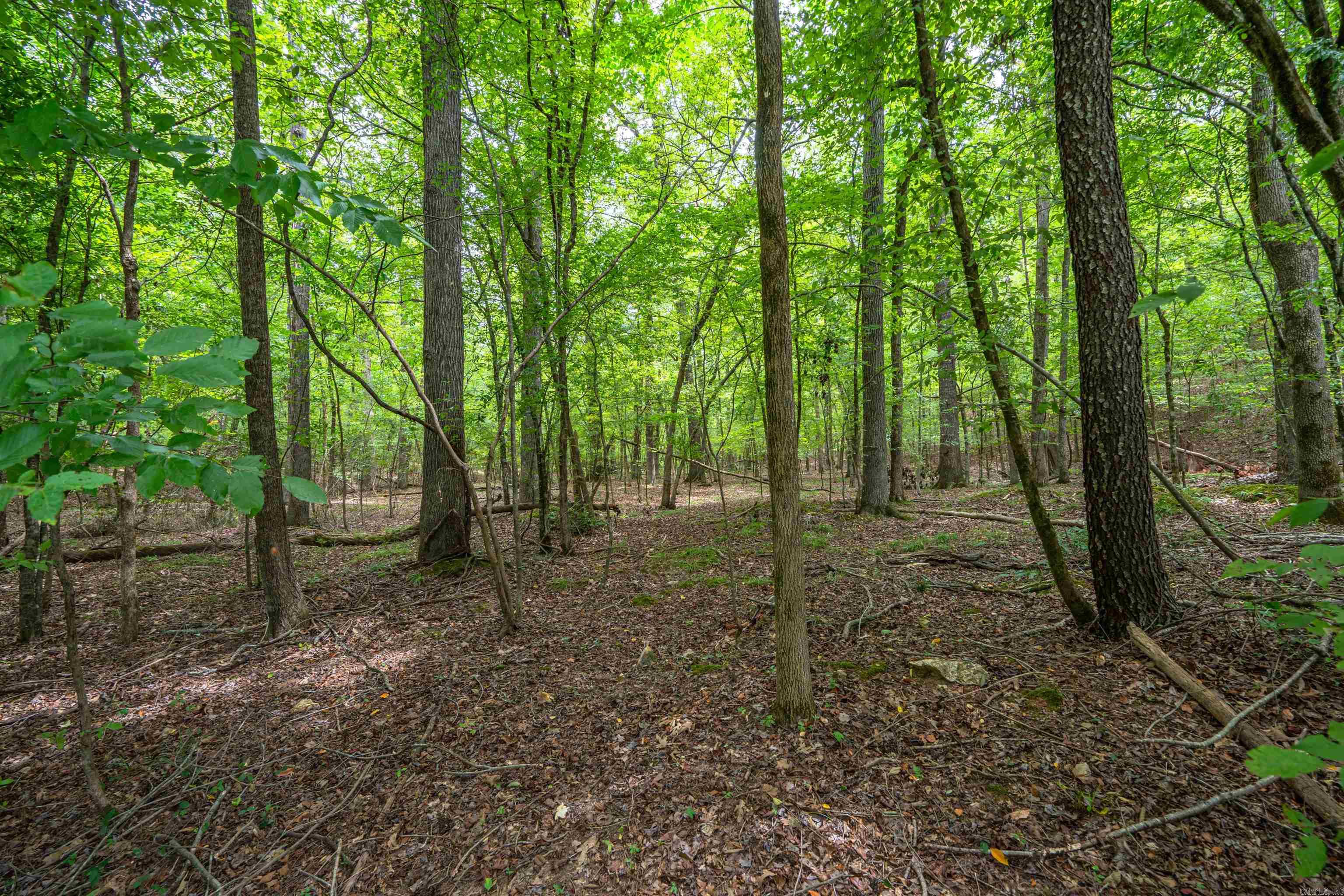 River Oaks - Land